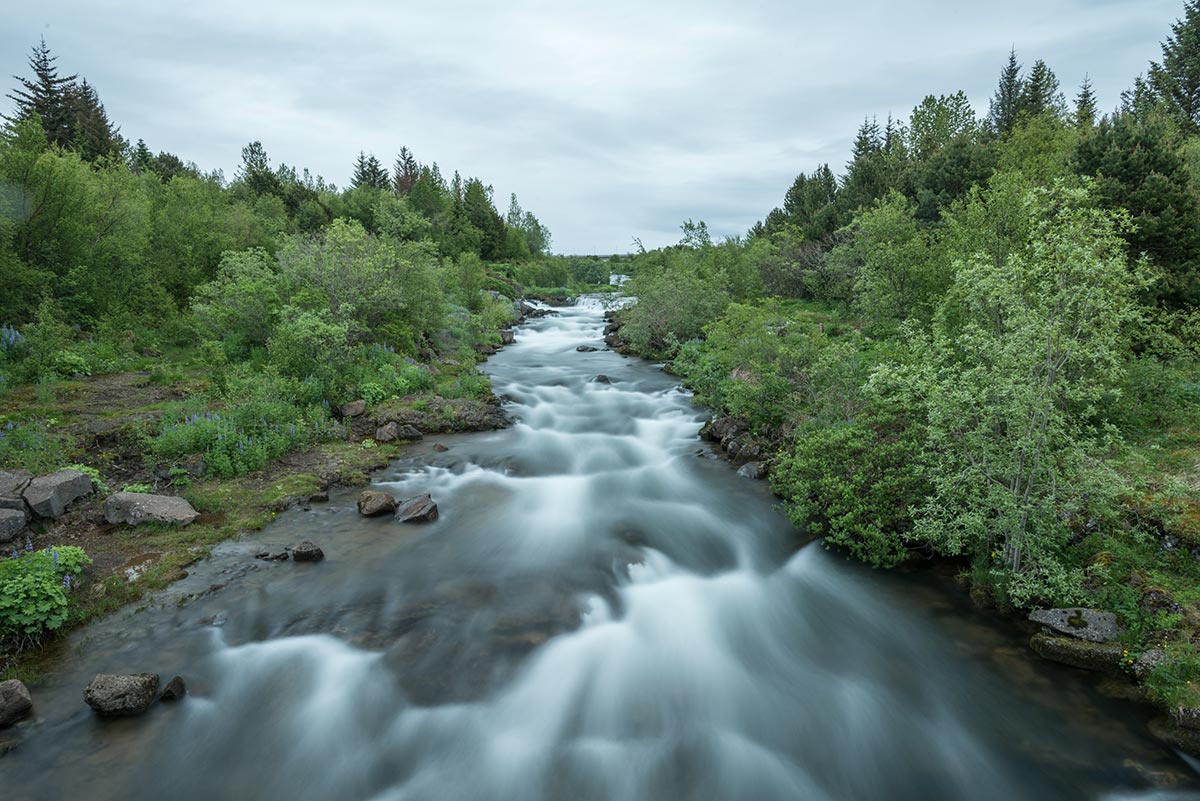 Elliðaárdalur Valley Iceland The Beautiful