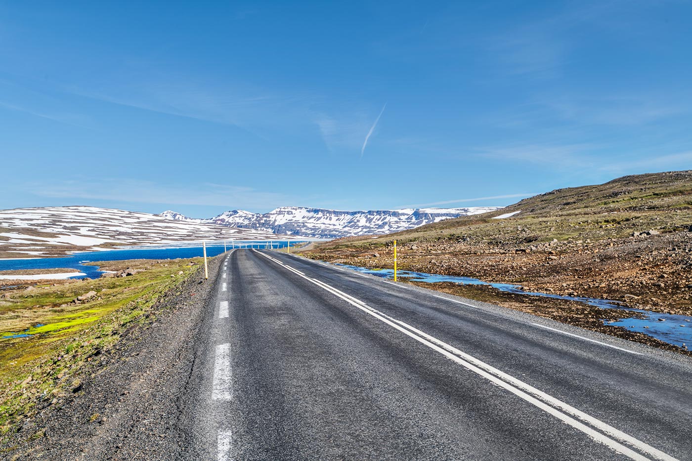 Monitor uchun erotik fon rasmi